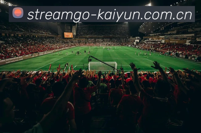 Kaiyun App 界面展示